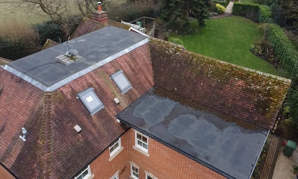 moss removal reading