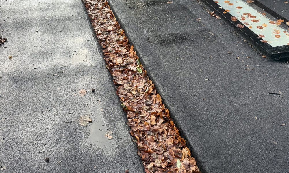 gutter cleaning rg30