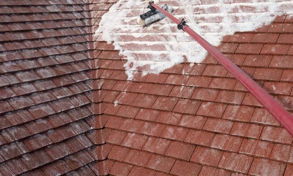 moss removal reading